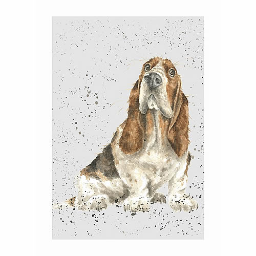 Basset Hound Card (Bella) - Click Image to Close