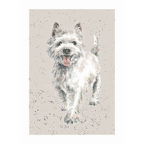 Westie Card (Macbeth) - Click Image to Close