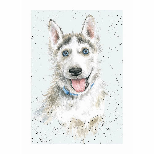 Husky Card (Blue) - Click Image to Close