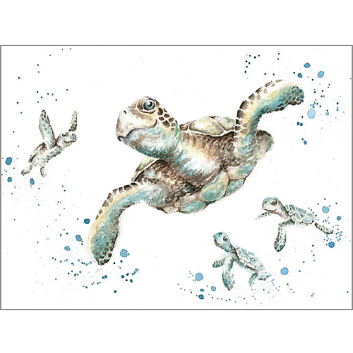 Swimming School Card (Sea Turtles) - Click Image to Close