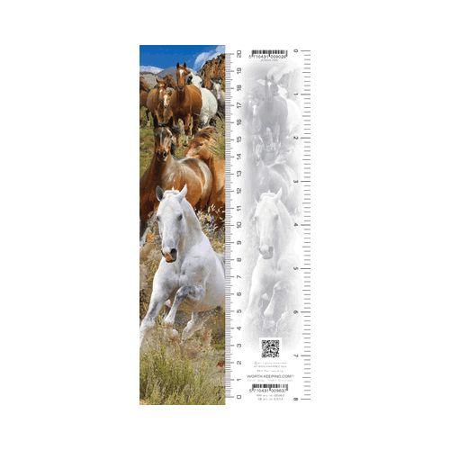 Horses Bookmark - Click Image to Close