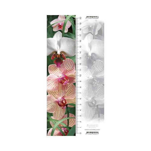 Orchid Bookmark - Click Image to Close