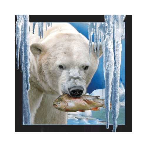 Polar Bear with Fish Card - Click Image to Close