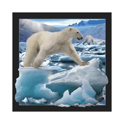 Polar Bear Jumping Card - Click Image to Close