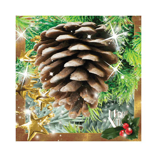 Christmas Cone Card - Click Image to Close