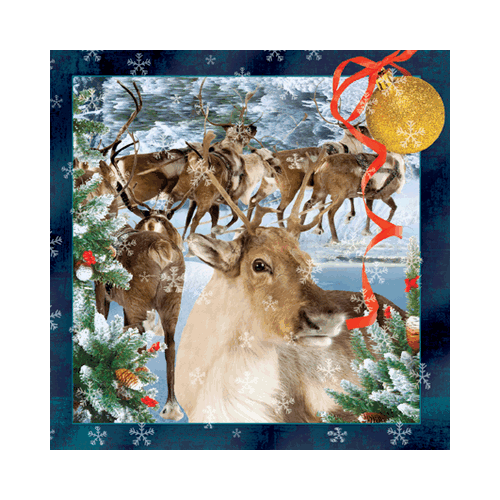 Rudolph Card - Click Image to Close