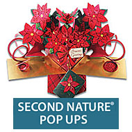 Second Nature Pop Ups