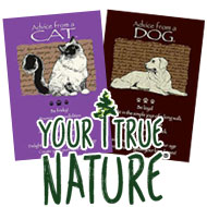 Your True Nature Cards