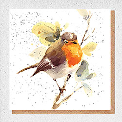 Robin Card