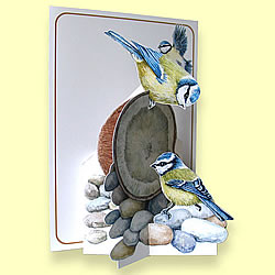 Blue Tits Card