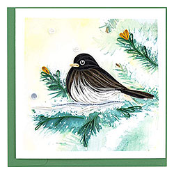 Dark Eyed Junco Card