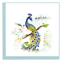 Posing Peacock Card