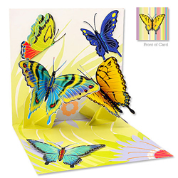 Spring Butterflies Card