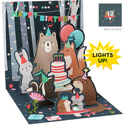 Nocturnal Birthday Light Card