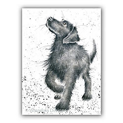 Walkies Card (Dog)