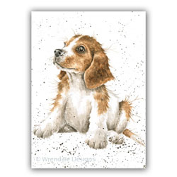 Mischief Card (Puppy)