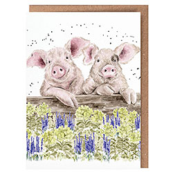 Nosy Neigh-boars Card (Pigs)