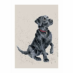 Black Labrador Card (Jack)