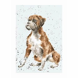 Boxer Card (Bruce)