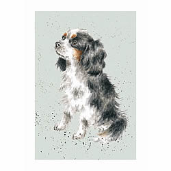 Cavalier King Charles Spaniel Card (George)