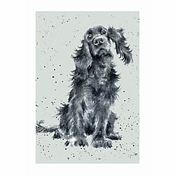 Black Cocker Spaniel Card (Lupo)