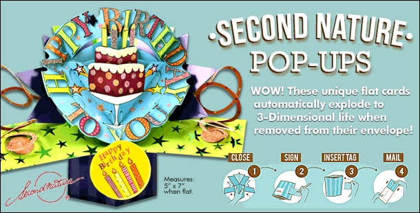 Grandson Birthday Card 3D Pop Up Card Pirates Gift Card Second Nature