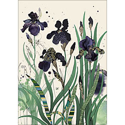 Black Irises Card