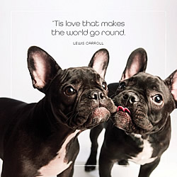 Love Makes The World Go Round Card (French Bulldogs)