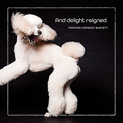 Delight Reigned Card (Poodle)