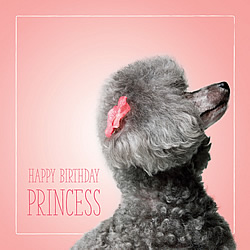 Happy Birthday Princess Card (Poodle)