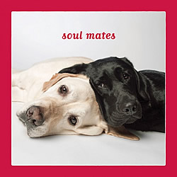 Soul Mates Card (Labrador Retrievers)