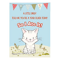 Birthday Naughty Kitty Card