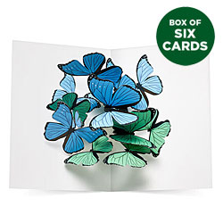 Beautiful Butterflies Pop-Up Card (Box of 6)