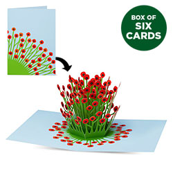 Blooming Poppies Pop-Up Card (Box of 6)