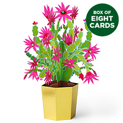 Christmas Cactus Pop-Up Card (Box of 8)