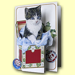 Christmas Kitten In Box Card