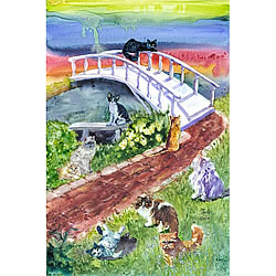 Rainbow Bridge Cat Sympathy Card