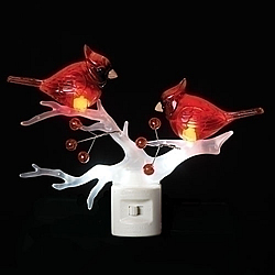 Two Cardinals On Branch Night Light