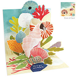 Ocean Shells Card