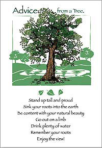 Advice From A Tree Card