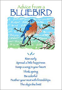 Advice From A Bluebird Card